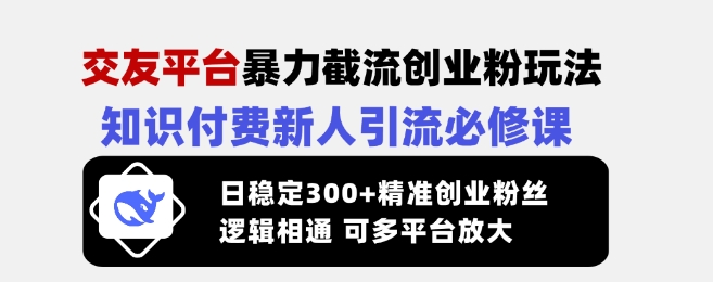 交友平台暴力截流创业粉玩法,知识付费新人引流必修课,日稳定300+精准创业粉丝,逻辑相通可多平台放大-副业网创资源站