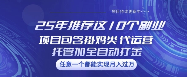 25年推荐这10个副业项目包含褂鸡类、代运营托管类、全自动打金类【揭秘】-副业网创资源站
