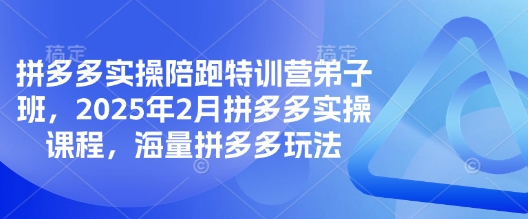 拼多多实操陪跑特训营弟子班,2025年2月拼多多实操课程,海量拼多多玩法-副业网创资源站