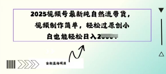 2025视频号最新纯自然流带货, 视频制作简单,轻松过原创小 白也能轻松操作-副业网创资源站