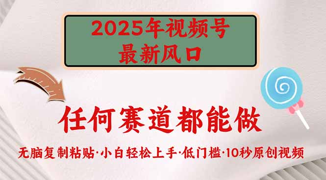 （14453期）2025年视频号新风口，低门槛只需要无脑执行-副业网创资源站