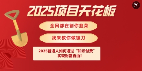 2025项目天花板普通人如何通过知识付费,实现财F自由【揭秘】-副业网创资源站